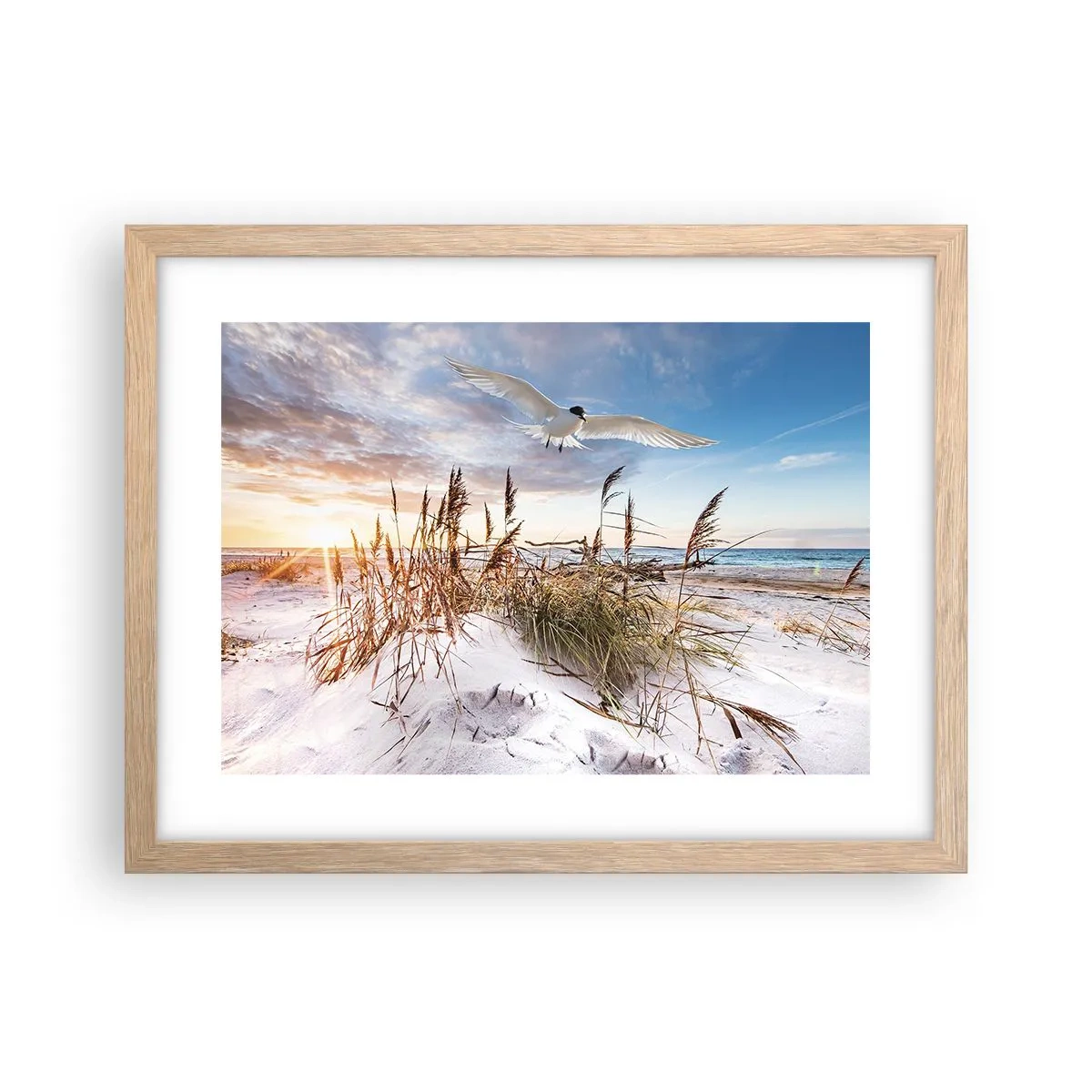 Plakat w ramie jasny dąb - Wiatr od morza - 40x30 cm