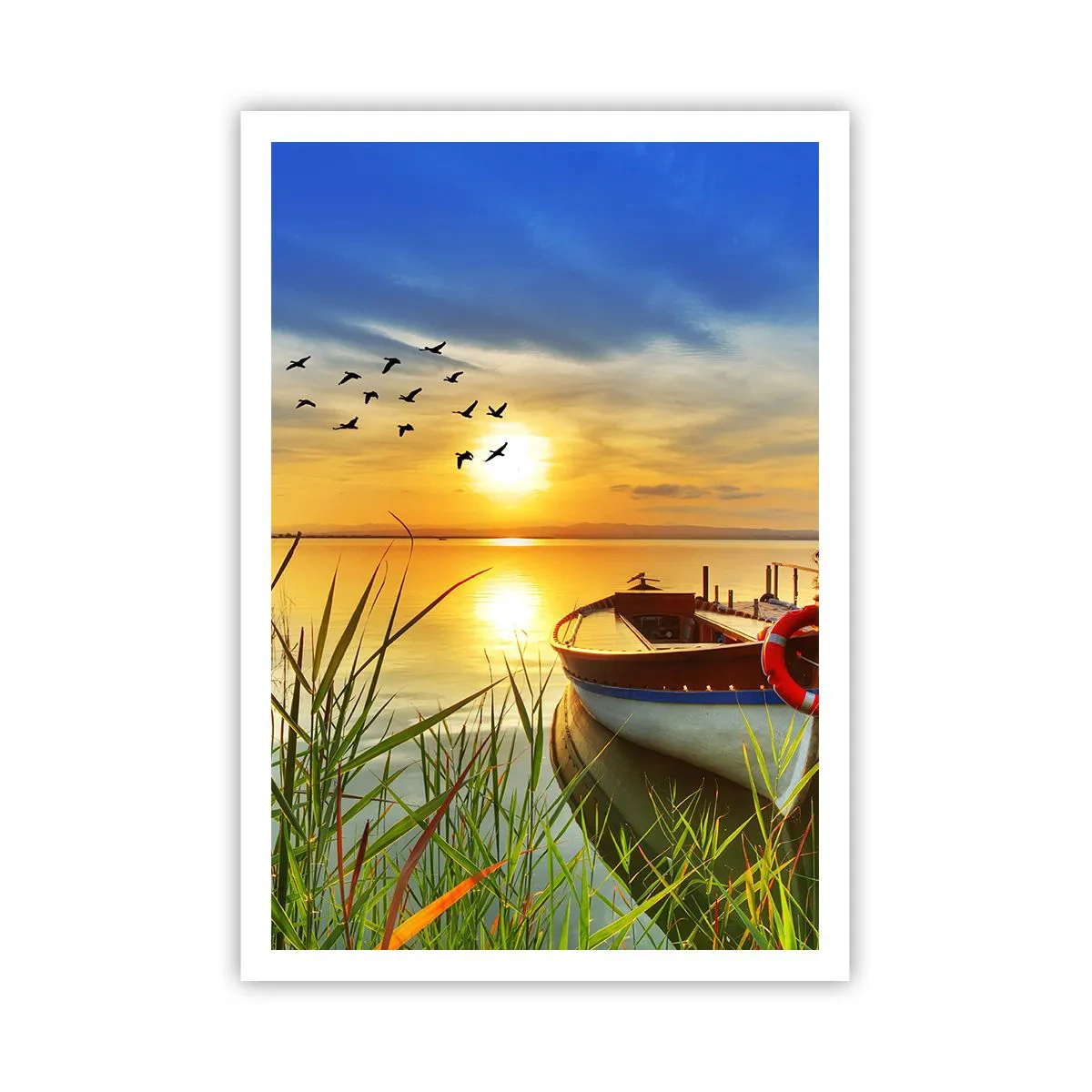 Plakat - Kormorany odlatują już - 70x100 cm