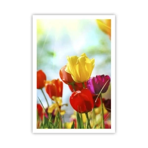 Plakat - Wszystkie barwy słońca - 70x100 cm