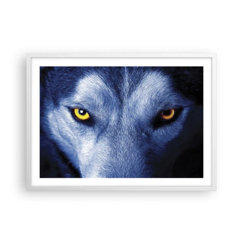 Plakat w białej ramie - Hipnotyzujące spojrzenie - 70x50 cm