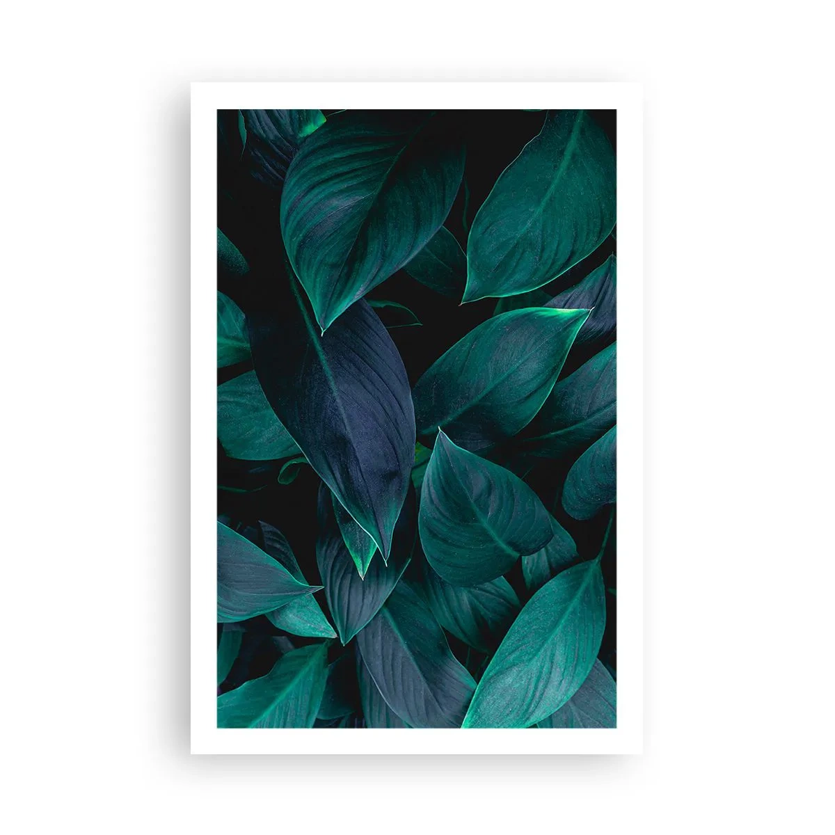 Plakat - Zieleń sama w sobie - 61x91 cm