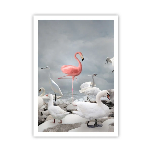Plakat - Skąd się tu wziąłem? - 70x100 cm