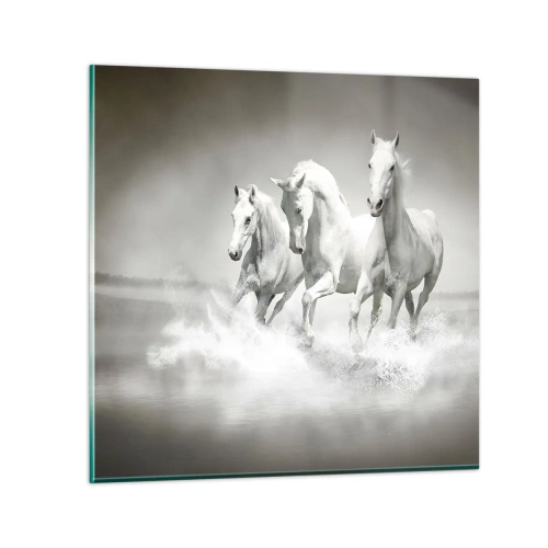 Obraz na szkle - Białe szaleństwo - 40x40 cm