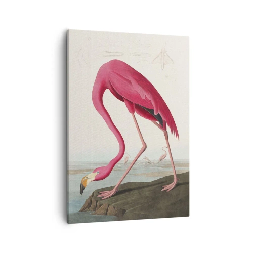 Obraz na płótnie - Różowy flaming stojący na skale z pochyloną głową - 50x70cm - Zadziwiające stworzenie - Nowoczesna dekoracja ścienna do salonu, kuchni i sypialni ARTTOR