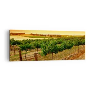 Obraz na płótnie - Winorośle na plantacji przy złotym zachodzie słońca - 140x50cm - Napić się słońca - Nowoczesna dekoracja ścienna do salonu i sypialni ARTTOR