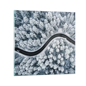 Obraz na szkle - Przez zimowy las - 30x30 cm