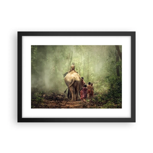 Plakat w czarnej ramie - Nowa Księga Dżungli - 40x30 cm