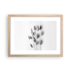 Plakat w ramie jasny dąb - Jej puszystość trawa - 40x30 cm