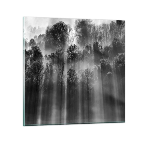 Obraz na szkle - W strumieniach światła - 50x50 cm