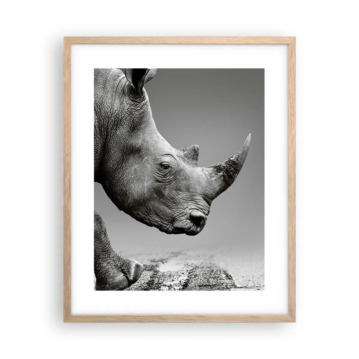 Plakat w ramie jasny dąb - Niepowstrzymana siła - 40x50 cm