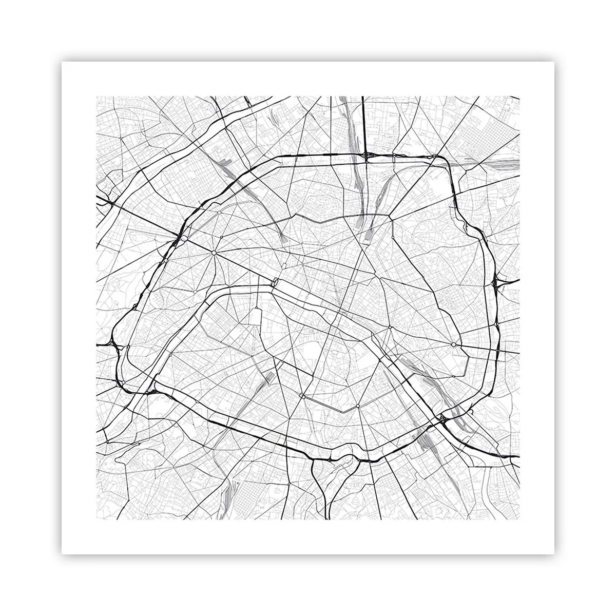 Plakat - Kwiat Paryża - 50x50 cm