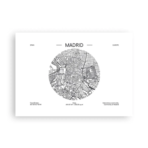 Plakat - Anatomia Madrytu - 70x50 cm