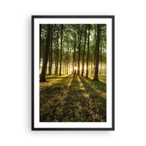 Plakat w czarnej ramie - Las oświetlony promieniami zachodzącego słońca - 50x70cm - Fotografia wszystkich wiosen - Nowoczesna dekoracja ścienna do salonu i sypialni ARTTOR
