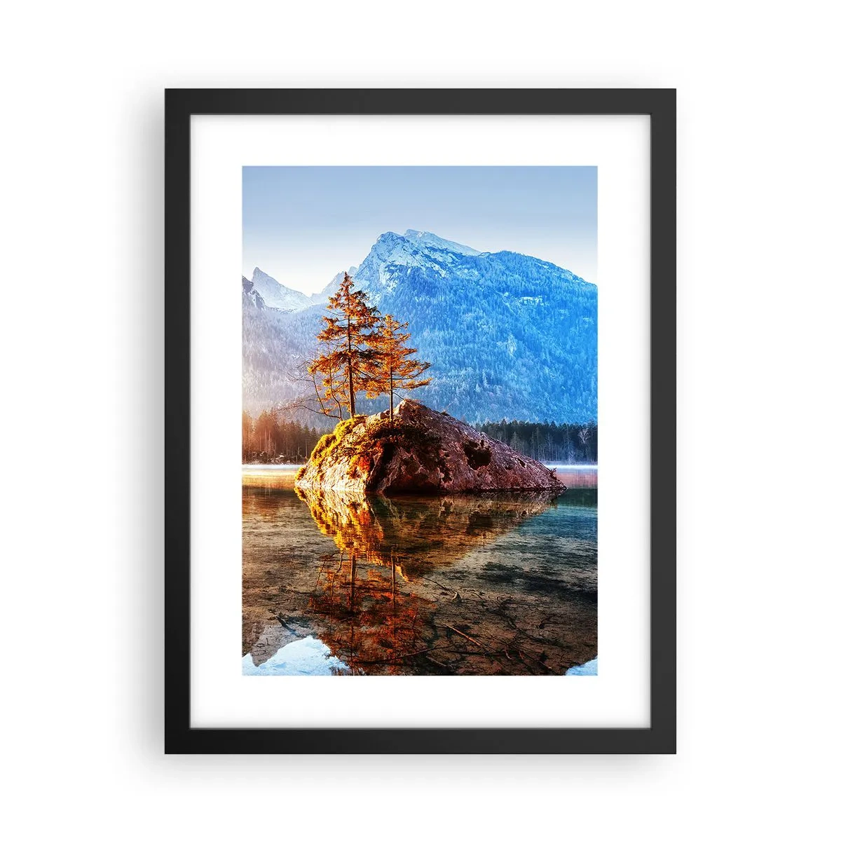 Plakat w czarnej ramie - Natura w nowym świetle - 30x40 cm