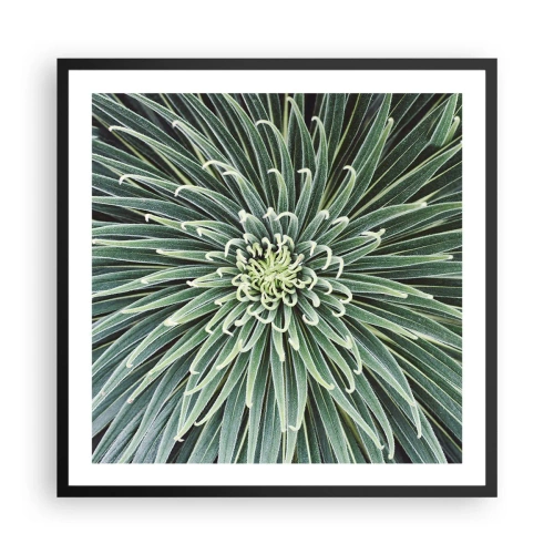 Plakat w czarnej ramie - Narodziny gwiazdy - 60x60 cm