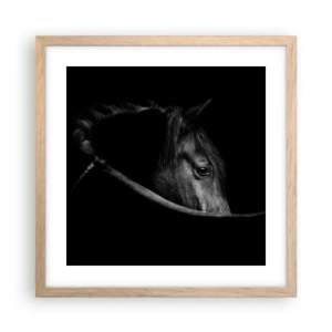 Plakat w ramie jasny dąb - Czarny książę - 40x40 cm