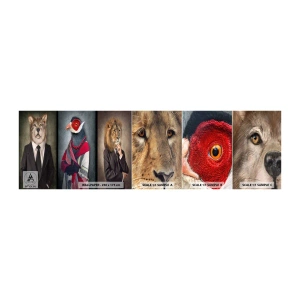 Fototapeta Próbka Standard Eco - Co ja tu robię?! - Abstrakcja, Pies, Ptak - 100x30 cm