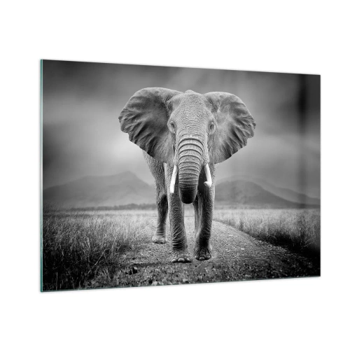 Obraz na szkle - Słoń na sawannie w czerni i bieli - 100x70cm - Gospodarz wita - Nowoczesna dekoracja ścienna do salonu, kuchni i sypialni ARTTOR