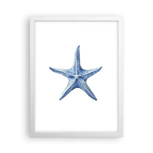 Plakat w białej ramie - Gwiazda morza - 30x40 cm