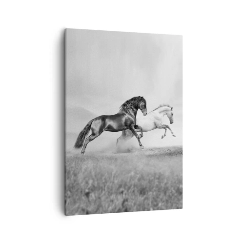 Obraz na płótnie - Czarno-białe konie w galopie - 50x70cm - Anioły i demony - Nowoczesna dekoracja ścienna do salonu, kuchni i sypialni ARTTOR