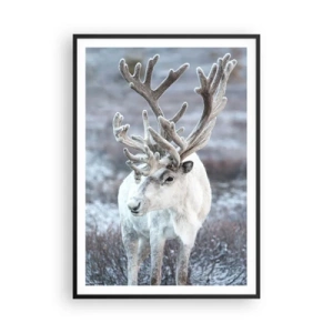 Plakat w czarnej ramie - Portret w słońcu - 70x100 cm