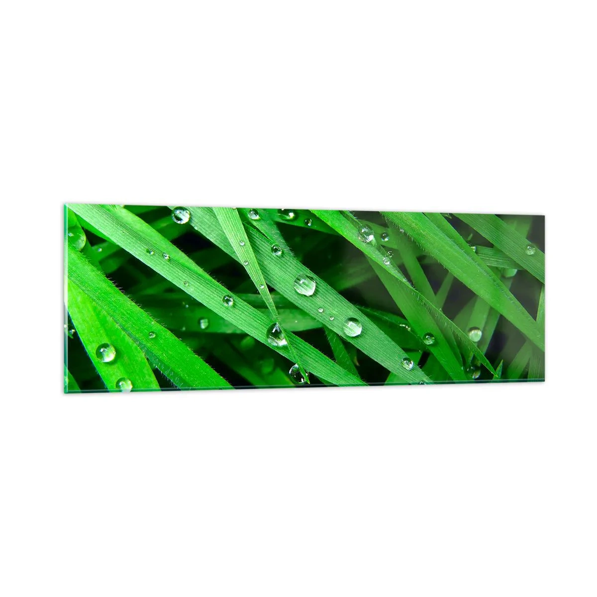 Obraz na szkle - Zagraj w zielone - 90x30 cm