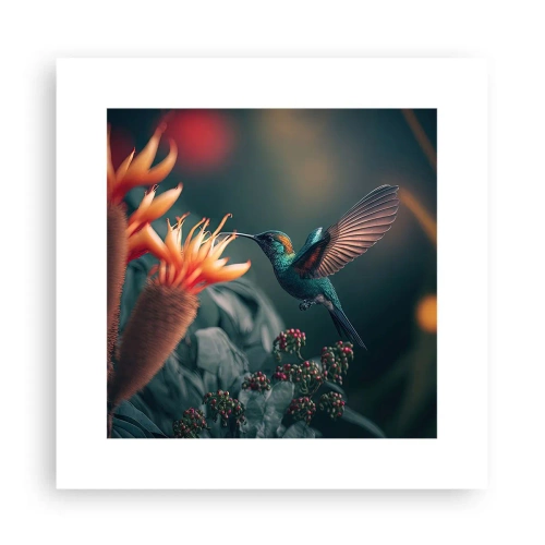 Plakat - naprawdę barwne życie - 30x30 cm