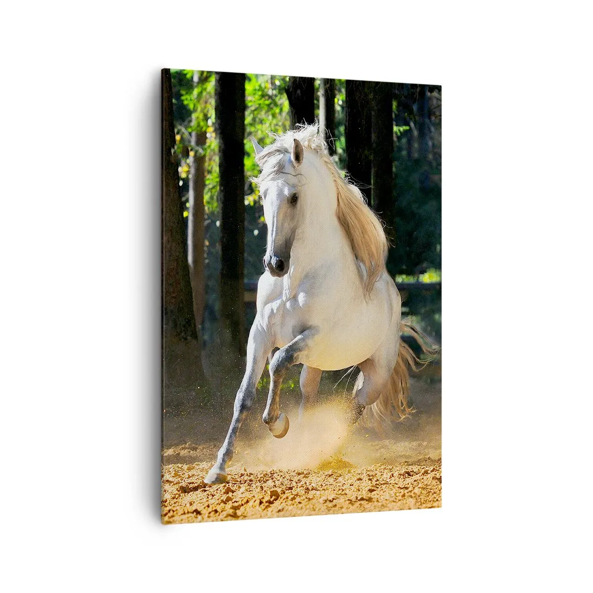 Obraz na płótnie - Biały koń galopujący po leśnej polanie - 70x100cm - Jak z powieści fantasy - Nowoczesna dekoracja ścienna do salonu i sypialni ARTTOR