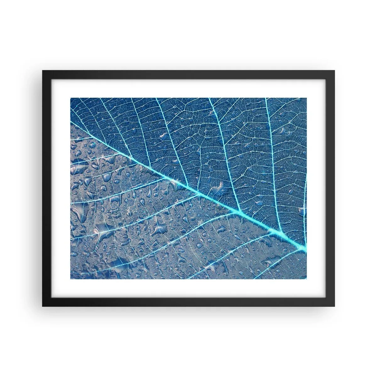 Plakat w czarnej ramie - Życie w błękicie - 50x40 cm