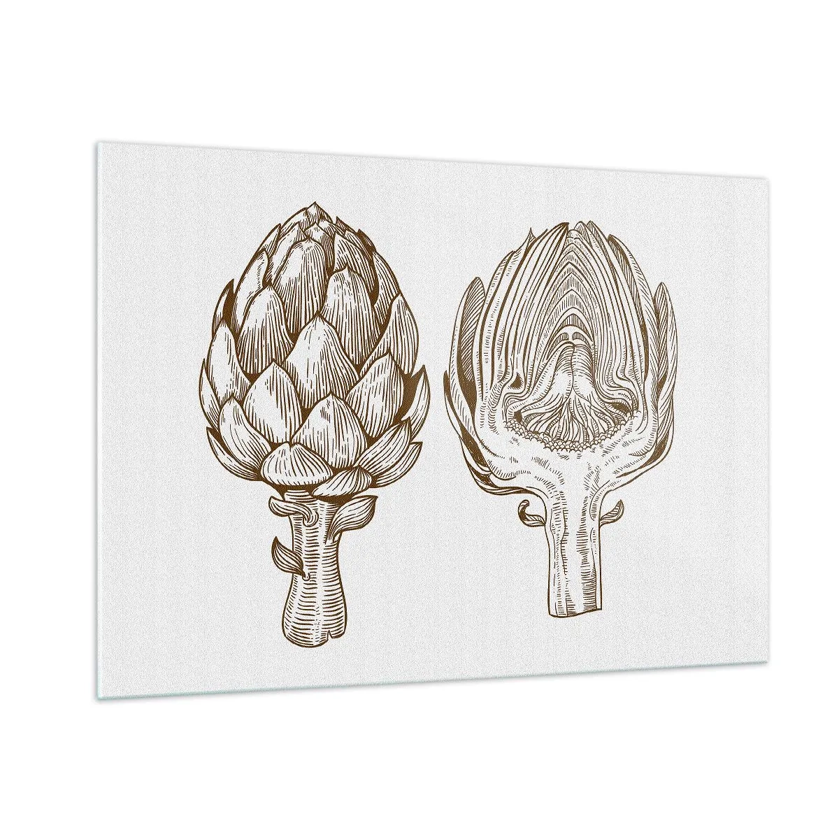 Obraz na szkle - Botaniczny rysunek karczocha w całości i w przekroju - 100x70cm - Lekcja anatomii - Nowoczesna dekoracja ścienna do salonu, kuchni i sypialni ARTTOR