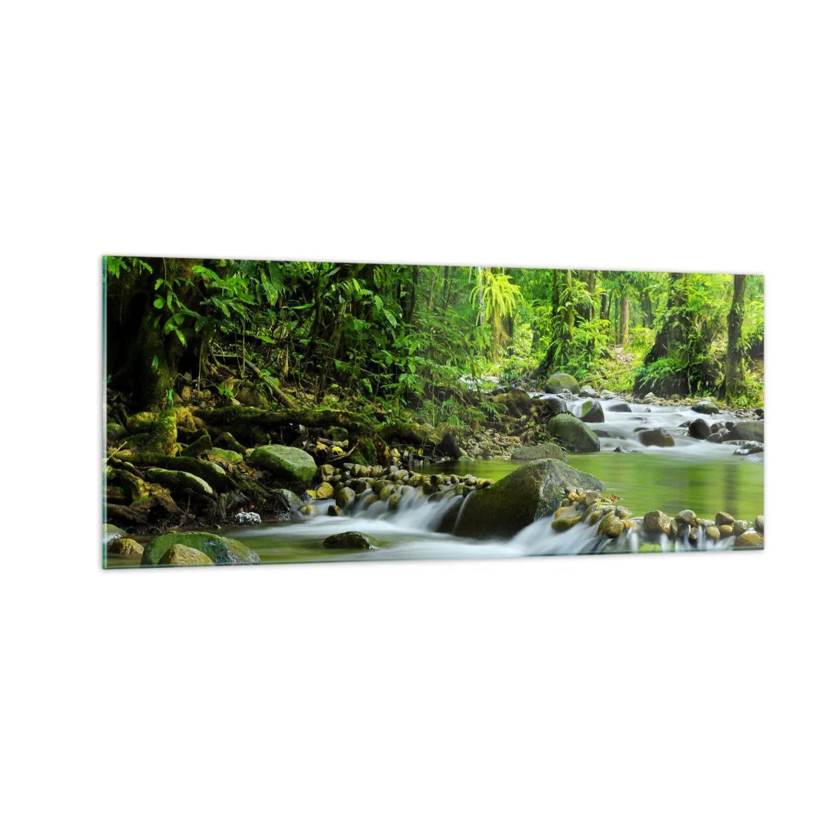 Obraz na szkle - Popłynąć w morzu zieleni - 100x40 cm