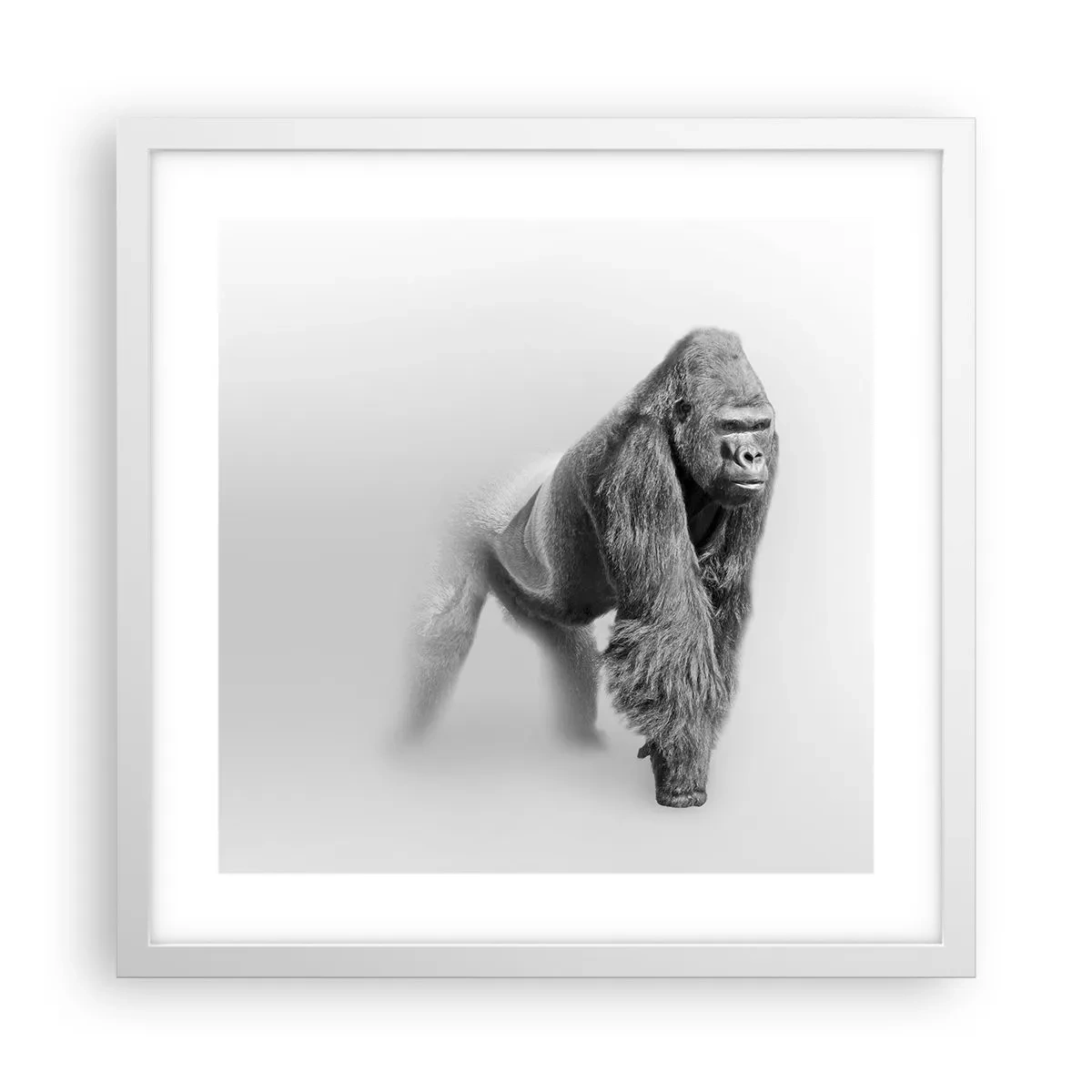 Plakat w białej ramie - Pewny swej siły - 40x40 cm