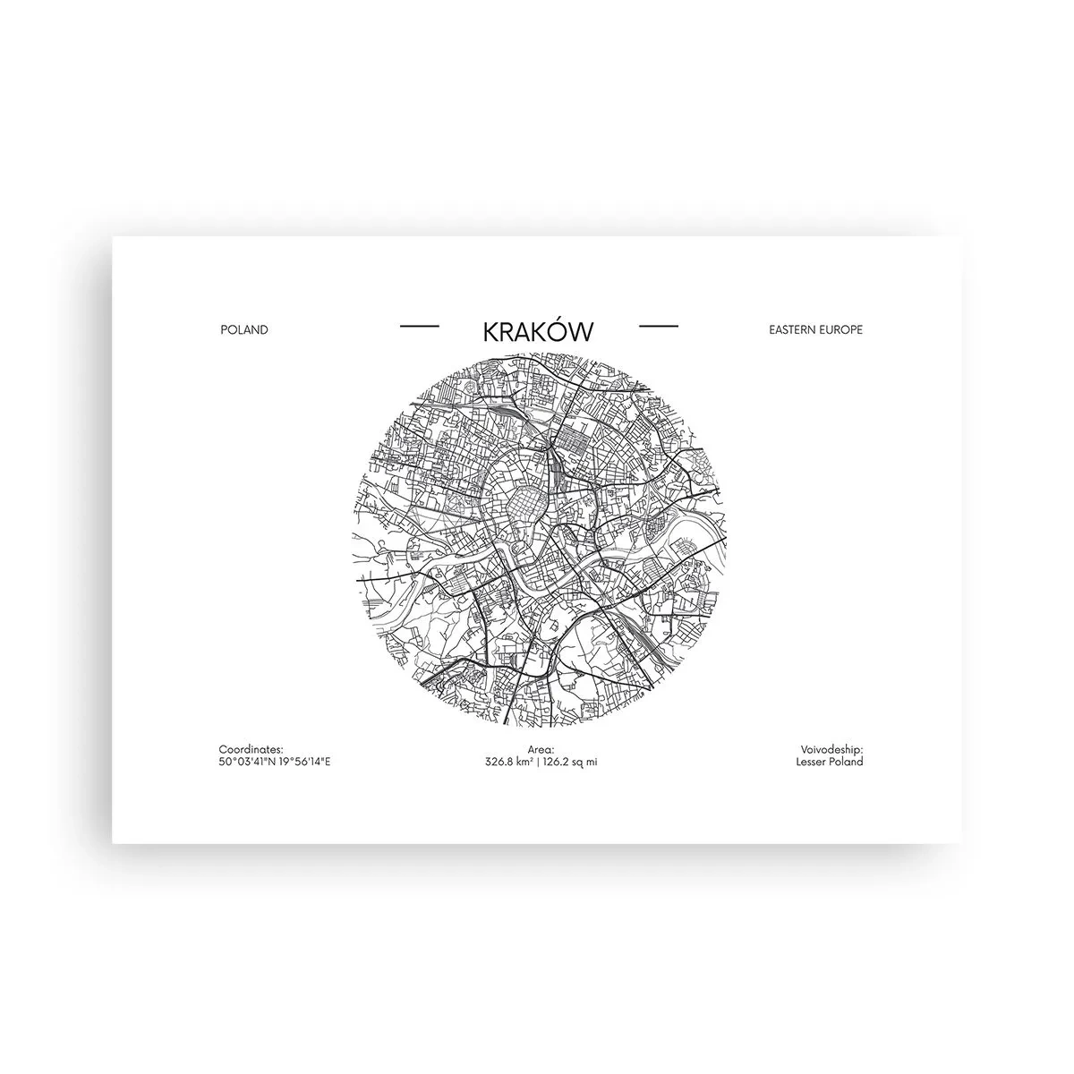 Plakat - Anatomia Krakowa - 70x50 cm