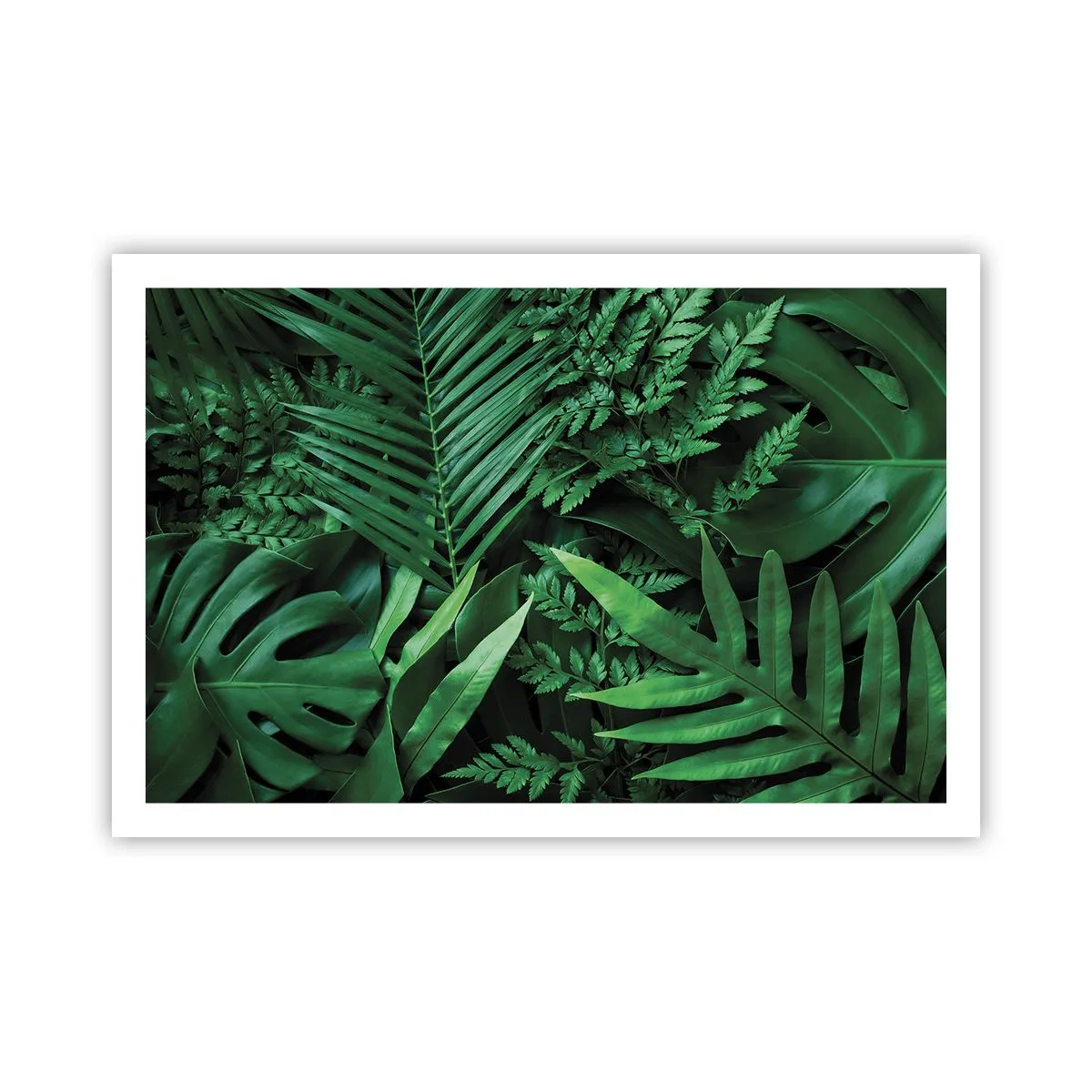 Plakat - Utulone w zieleni - 91x61 cm