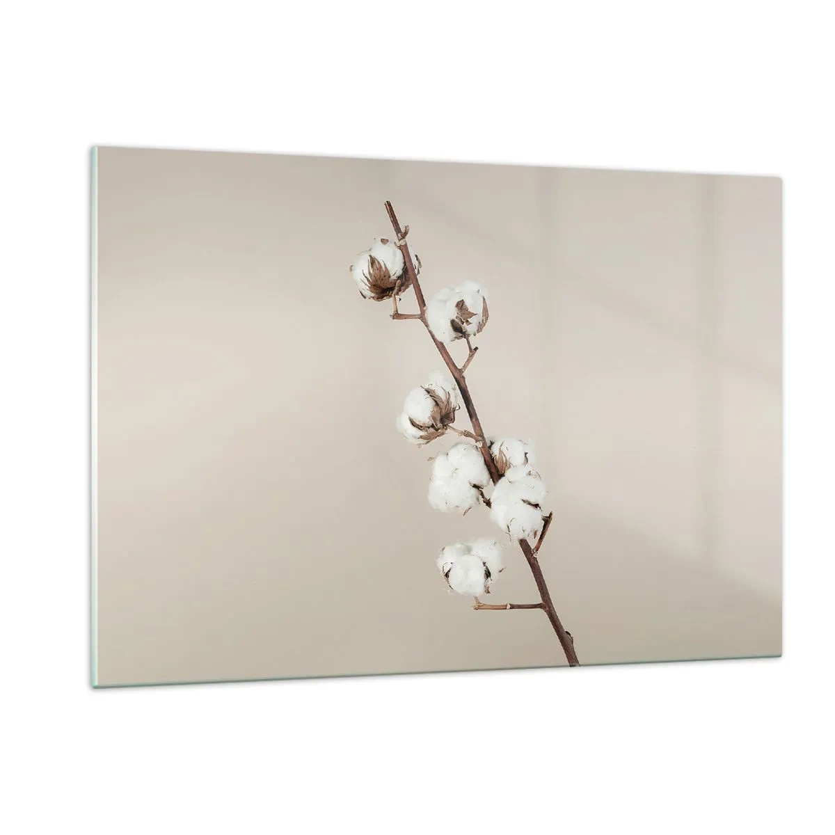 Obraz na szkle - Gałązka bawełny na jasnym, minimalistycznym tle - 120x80cm - U źródła miękkości - Nowoczesna dekoracja ścienna do salonu, kuchni i sypialni ARTTOR
