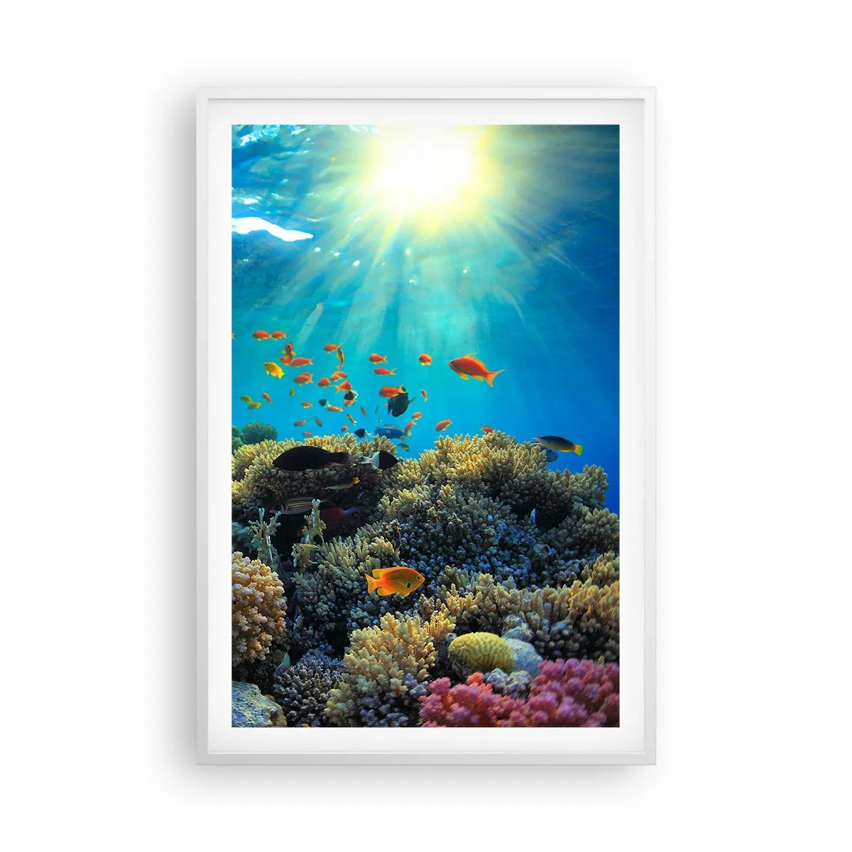 Plakat w białej ramie - Podwodne skarby - 61x91 cm