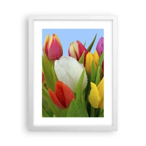 Plakat w białej ramie - Kwiatowa tęcza w kroplach rosy - 30x40 cm