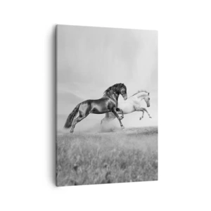 Obraz na płótnie - Czarno-białe konie w galopie - 50x70cm - Anioły i demony - Nowoczesna dekoracja ścienna do salonu, kuchni i sypialni ARTTOR