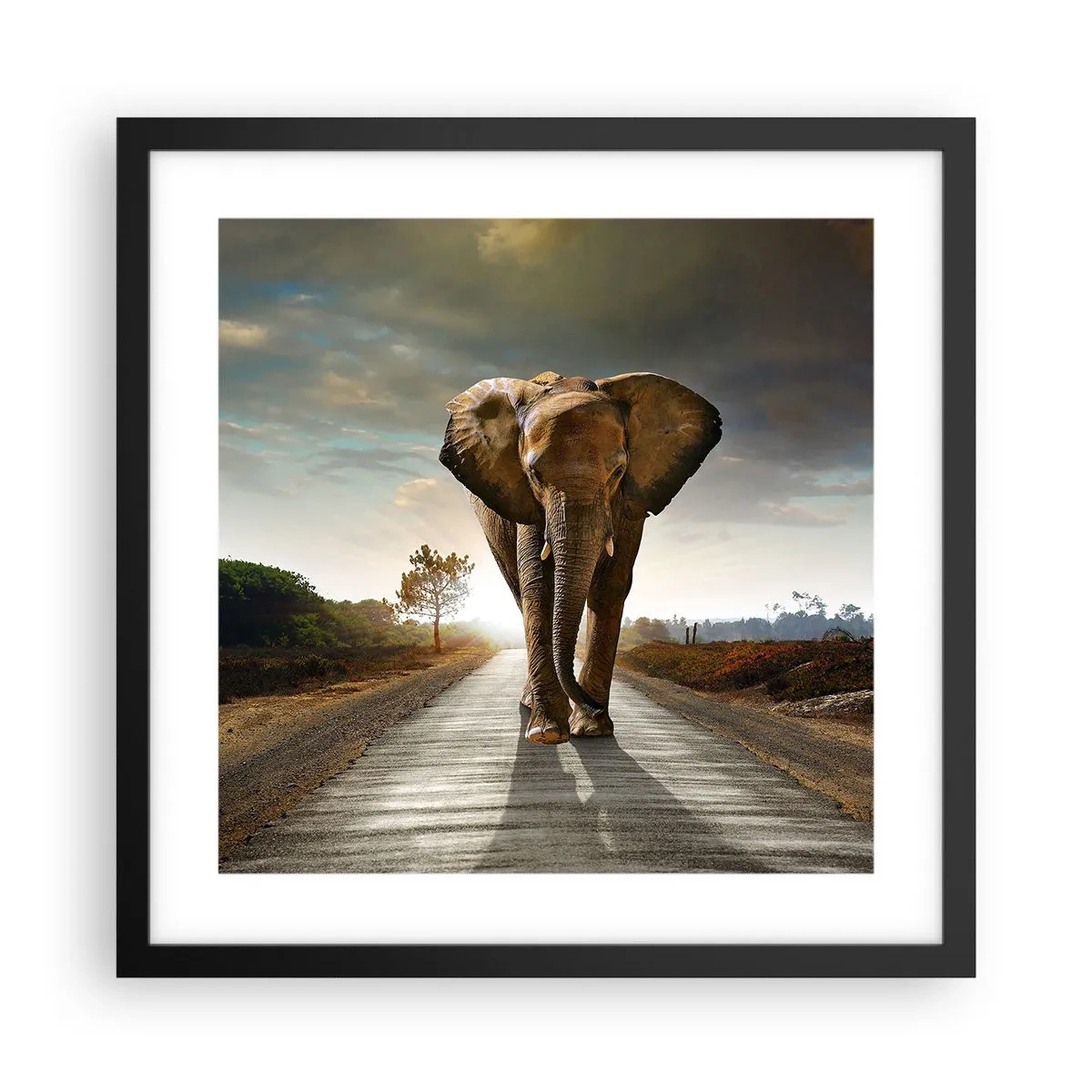 Plakat w czarnej ramie - I wcale nie w składzie porcelany - 40x40 cm