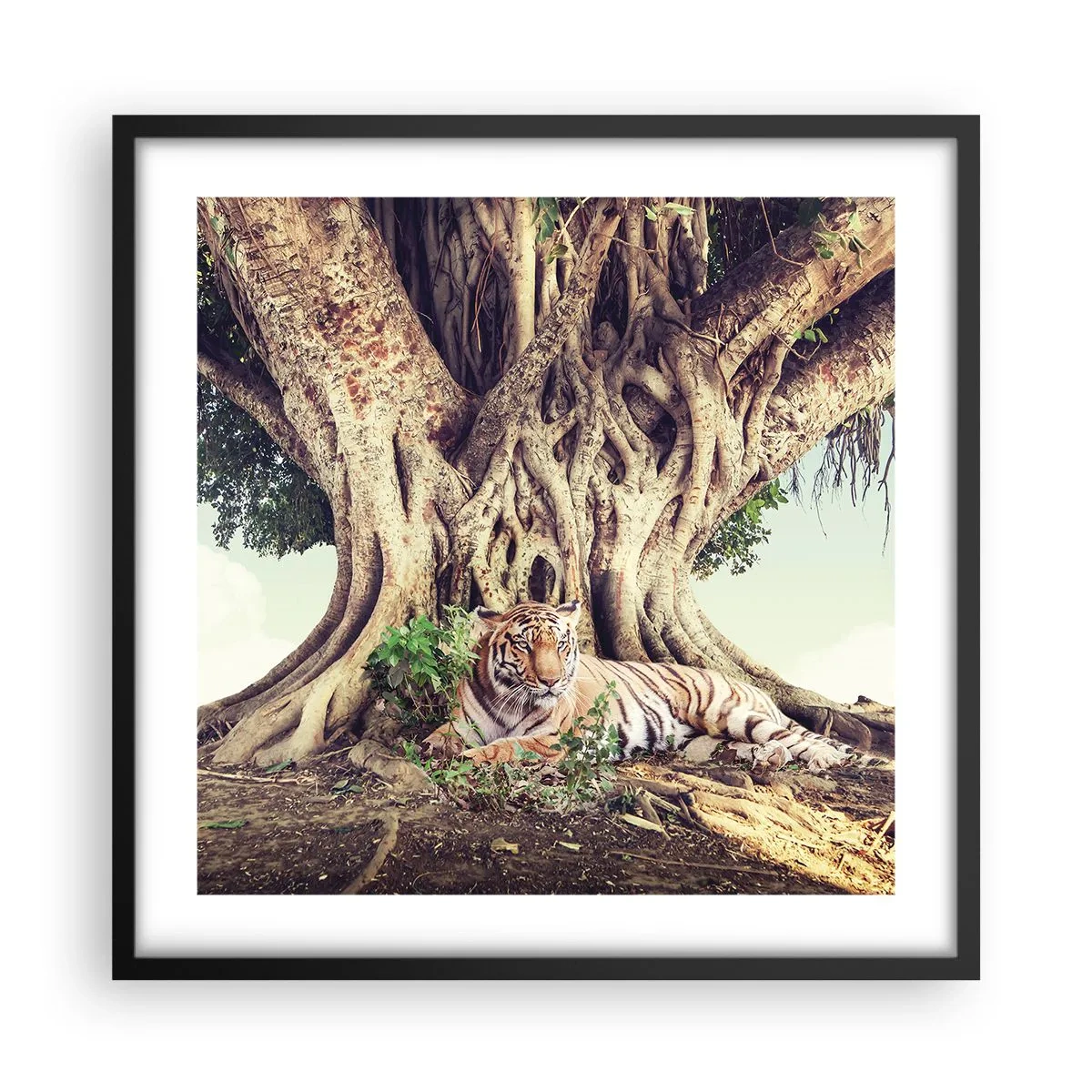 Plakat w czarnej ramie - Widok z Księgi Rodzaju - 50x50 cm