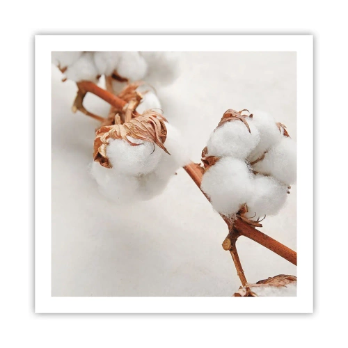 Plakat - Tylko tulić - 60x60 cm