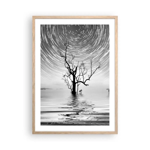 Plakat w ramie jasny dąb - Symfonia natury - 50x70 cm
