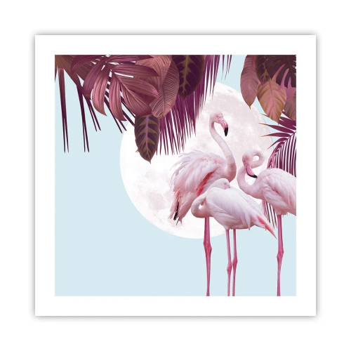 Plakat - Trzy ptasie gracje - 50x50 cm