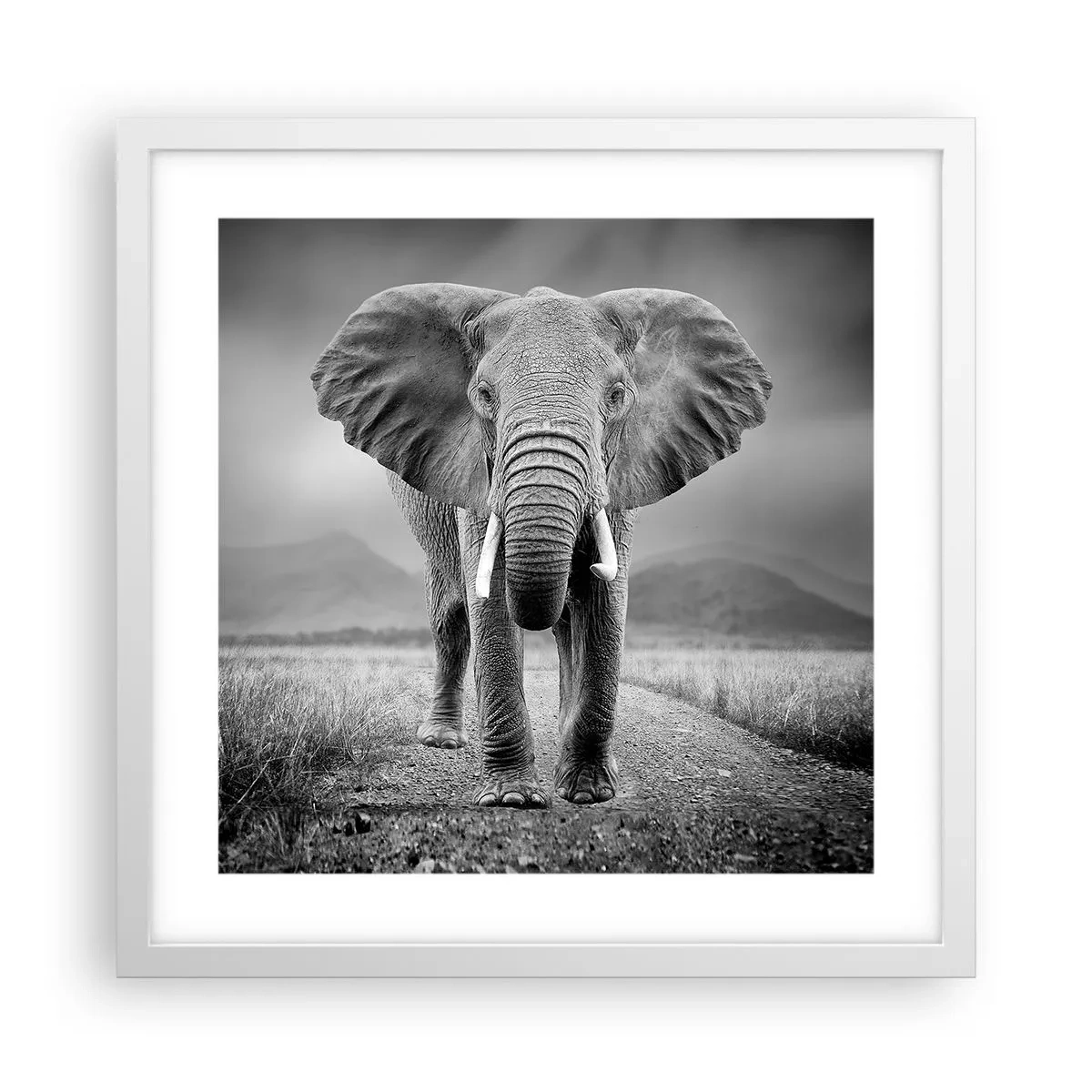 Plakat w białej ramie - Gospodarz wita - 40x40 cm