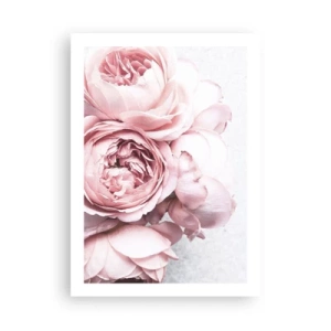 Plakat - Delikatne różowe kwiaty piwonii w zbliżeniu - 50x70cm - Dla romantyków - Nowoczesna dekoracja ścienna do salonu, kuchni i sypialni ARTTOR
