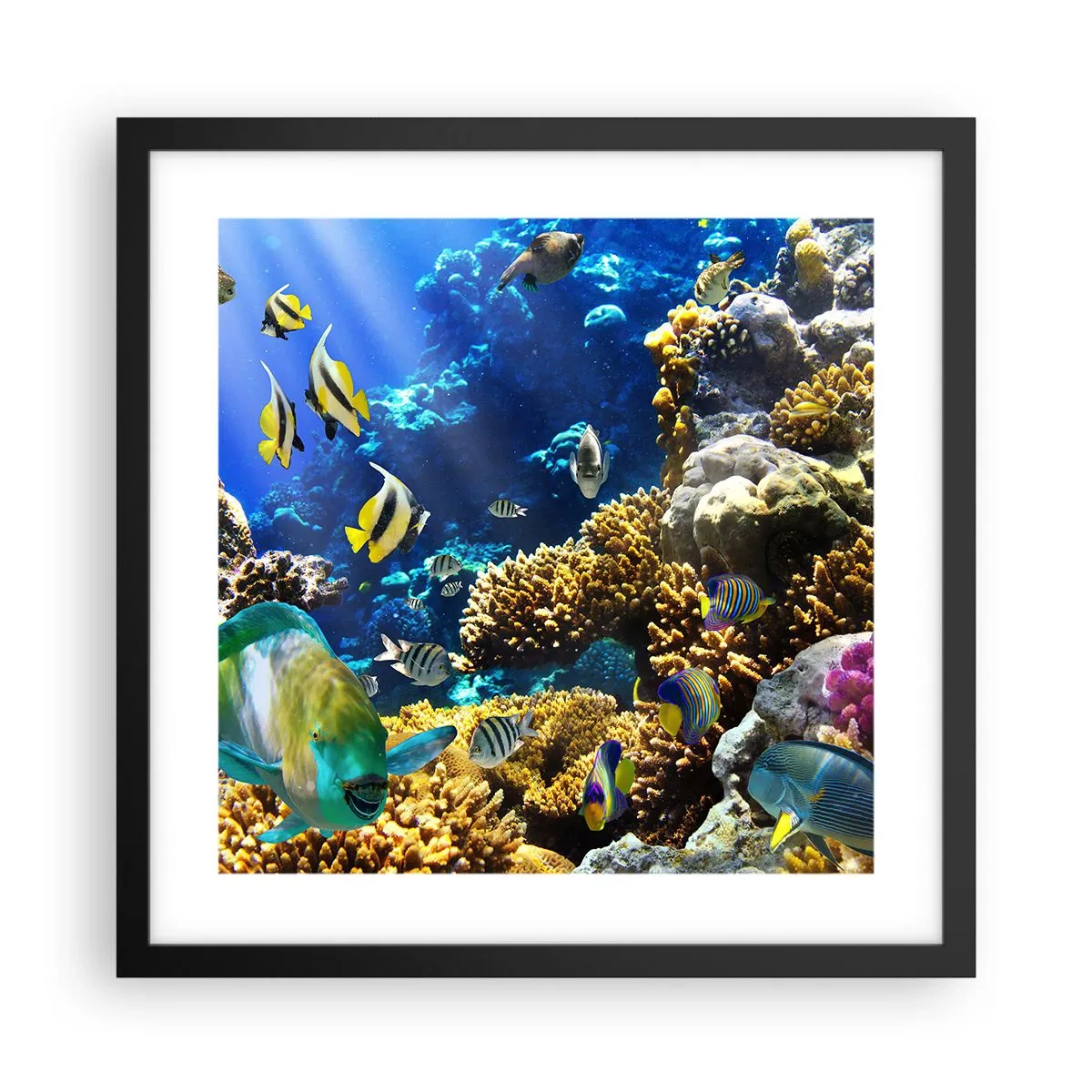 Plakat w czarnej ramie - Duży ruch na wakacyjnym szlaku - 40x40 cm