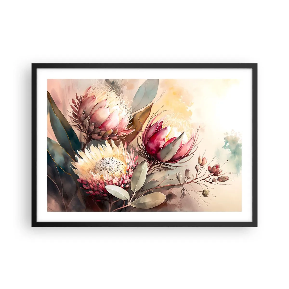 Plakat w czarnej ramie - Kwiaty protei w delikatnych pastelowych odcieniach - 70x50cm - Z profilu i en face - Nowoczesna dekoracja ścienna do salonu i sypialni ARTTOR