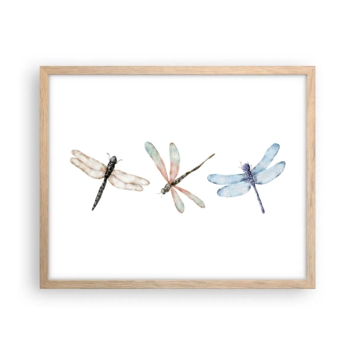 Plakat w ramie jasny dąb - Ważki nieważkie - 50x40 cm