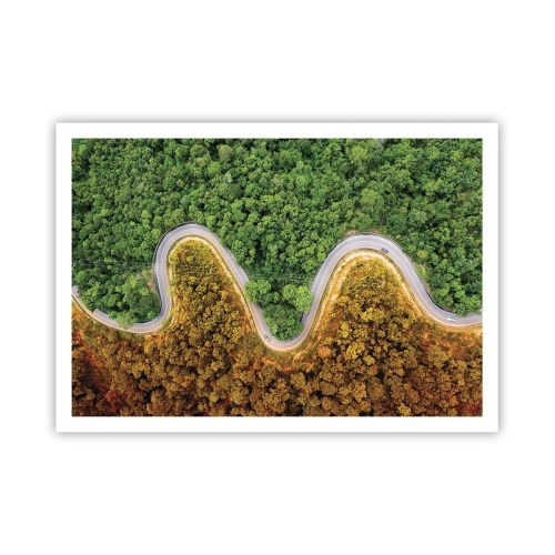 Plakat - Zakręcona droga przez las widziana z lotu ptaka - 100x70cm - Granice i przełomy - Nowoczesna dekoracja ścienna do salonu i sypialni ARTTOR