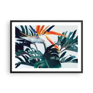 Plakat w czarnej ramie - Kwiat strelicji w otoczeniu liści w jasnym świetle - 70x50cm - Ptakokrzak - Nowoczesna dekoracja ścienna do salonu i sypialni ARTTOR